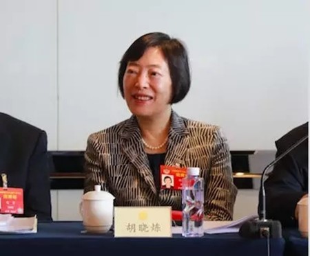 胡曉煉：放開市場競爭促進船舶工業(yè)高質量發(fā)展