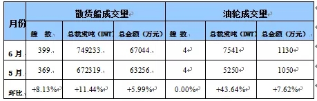 國內(nèi)船舶交易市場月度報(bào)告（2019.06）