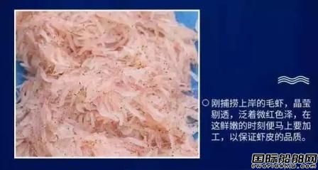 󽭴I(y)(ni)M(jn)rƤӹˮ