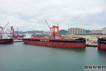 總計(jì)24艘！北海造船再獲CMB兩艘氨燃料散貨船訂單