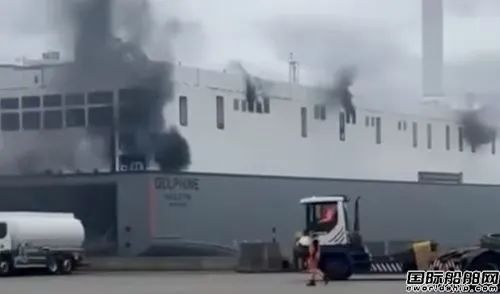 又是電動(dòng)車“惹禍”？全球最大近海滾裝船起火