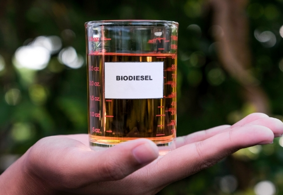 ȼ(zhn)ɭaƷ˾ƳЧȼӄ