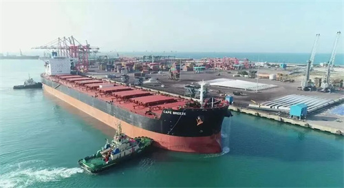 âFVǰ䴬Pioneer Bulkٶُ(gu)